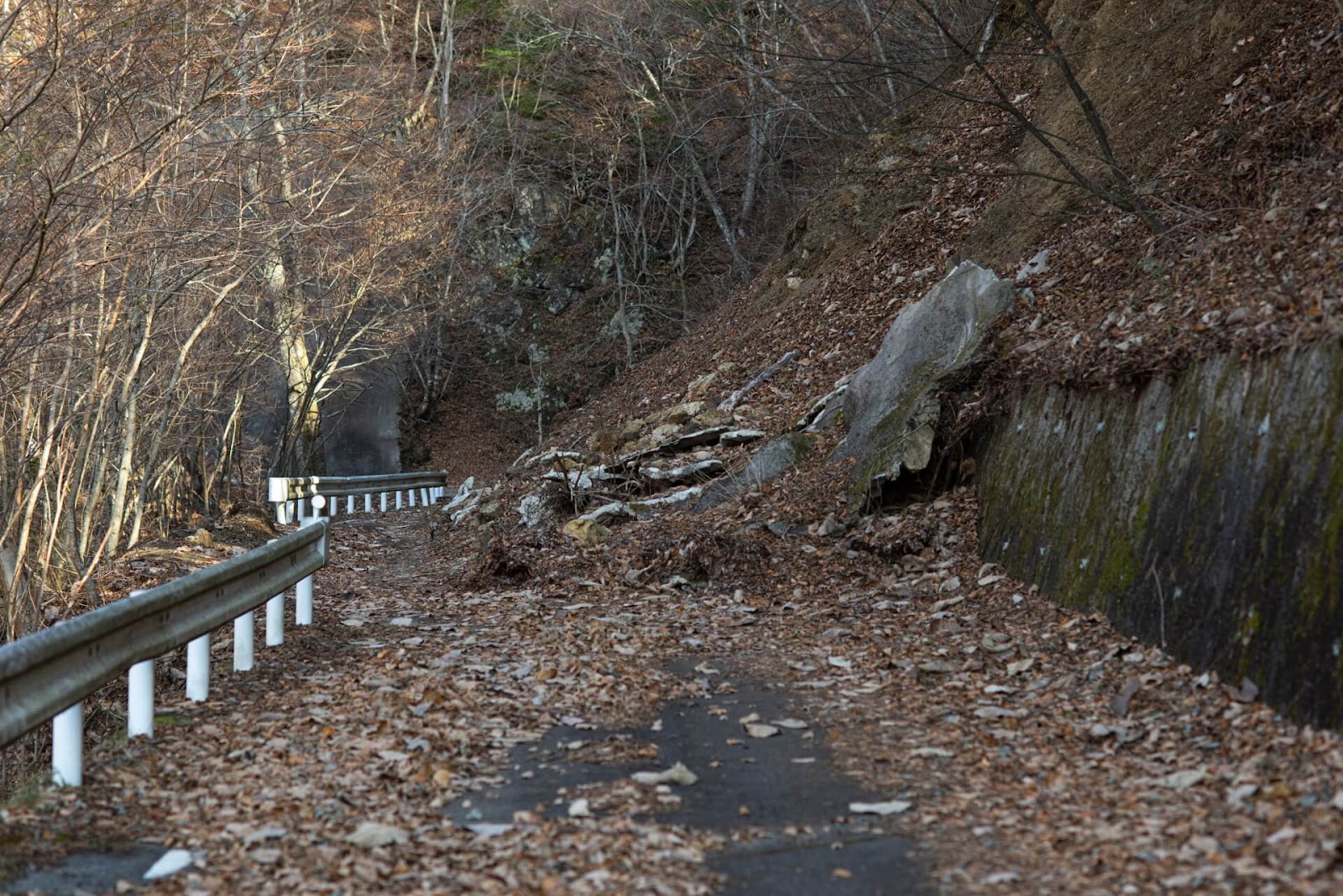 AIを活用した物流の災害対策￼